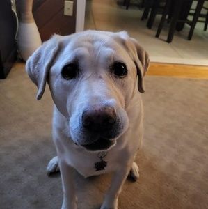 Meet your Posher, Sharon